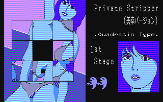 Illustration for article titled Here Are Some Adult Games Made By Famous Japanese Developers